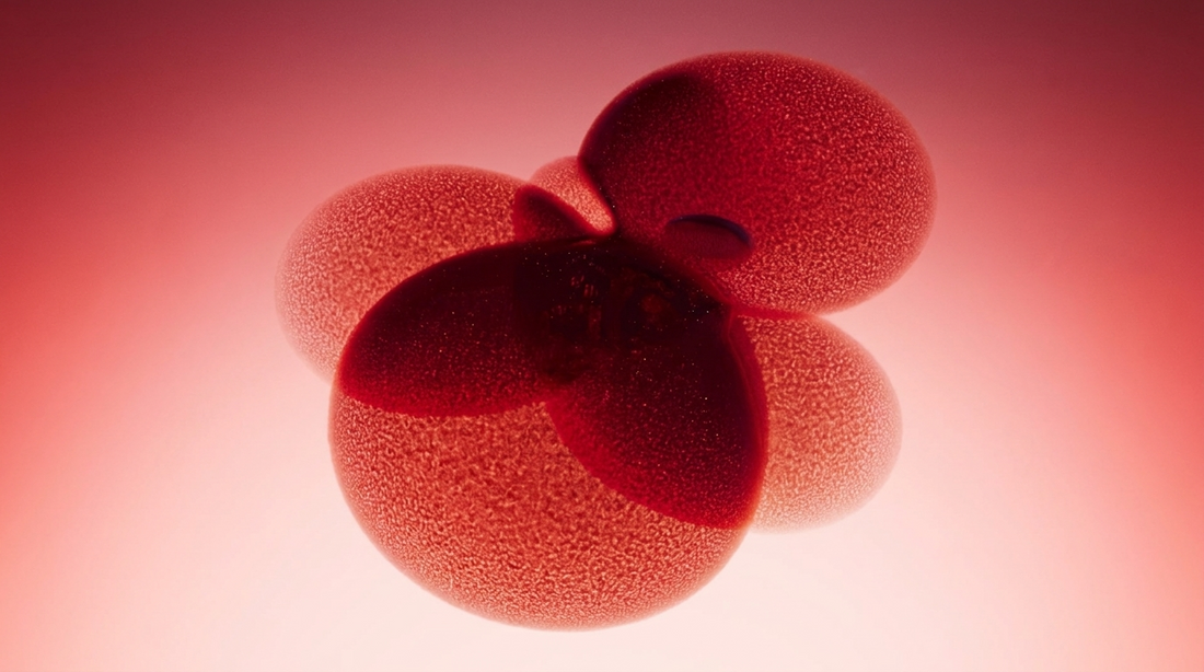 Skin aging as a 10-factor network