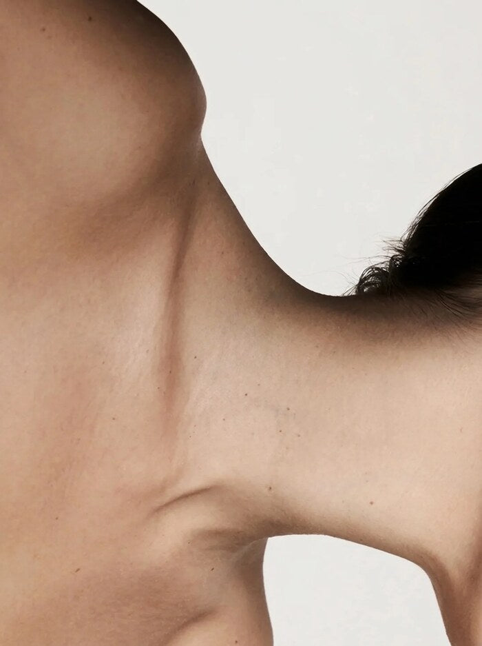 Close-up of a neck and collarbone