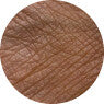 Close-up of skin texture